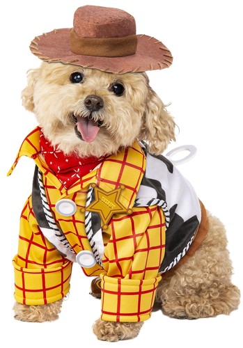 Costume woody toy - toy, story